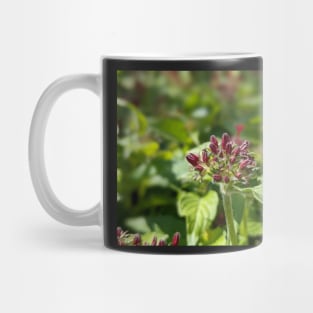 Penta Buds 2 Mug